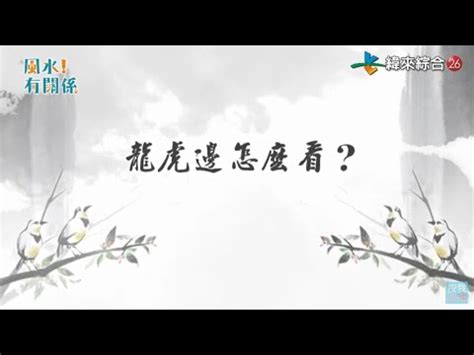 大樓龍邊虎邊|龍邊虎邊如何分辨？：從屋內看大門陽台，左手龍邊右手虎邊